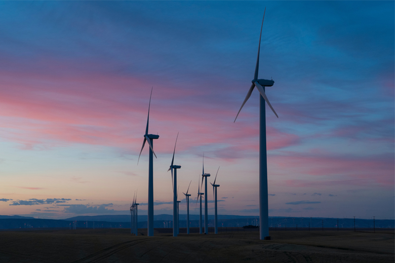 How can companies encourage eco-friendly practices like energy conservation?