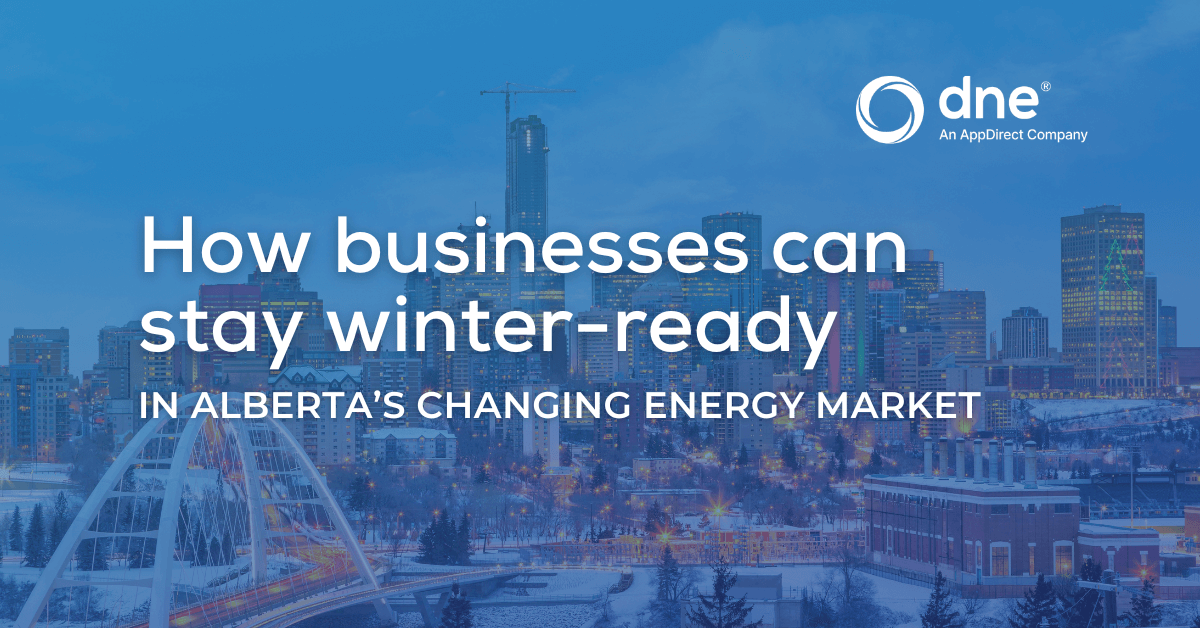 DNE How businesses can stay winter ready